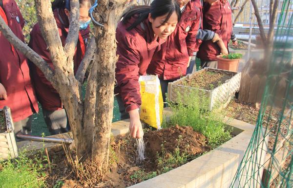 给树木进行施肥 给树木进行施肥